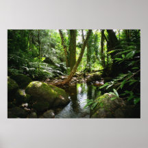 Courant de vallée de Manoa Poster