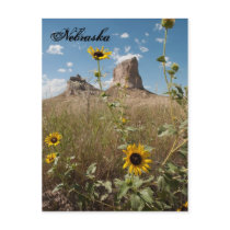 Courthouse and Jail Rock, Nebraska Postcard