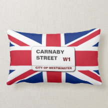 Coussin lombaire de oscillation de rue de 60s Carn