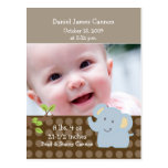 Coutume de faire-part de naissance de PHOTO d'élép Carte Postale