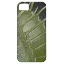 Couverture d'iPhone de piège de mouche de Vénus Coques iPhone 5