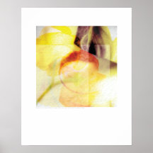 Cover art - Stems and Neck - Griego Poster