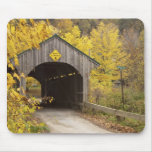 Covered bridge, Vermont, USA 2