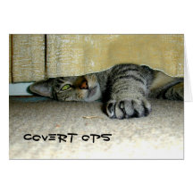 Covert Ops Cat Cards