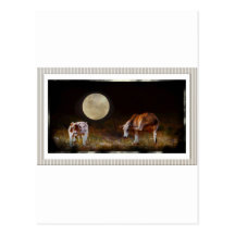 Cow and Calf in the Moolight Postcards