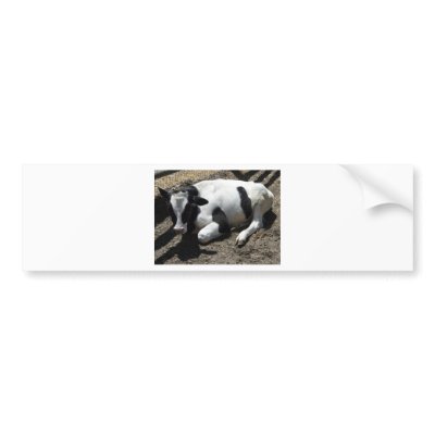 cow,baby bumper sticker by pinkypetals