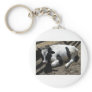 cow,baby key chain