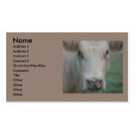 Cow Big Head Business Cards