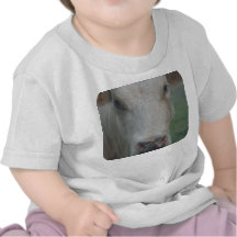 Cow Big Head Tee Shirt