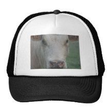Cow Big Head Trucker Hats