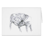 Cow Biting Tail Greetings Card
