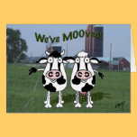 cow bull moved new address announcement. cards