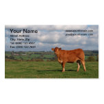 Cow Business Card