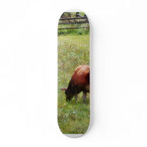 Cow Grazing in Pasture