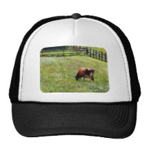 Cow Grazing in Pasture Trucker Hats