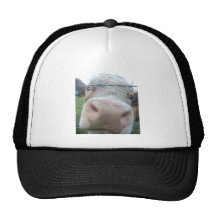 Cow hat