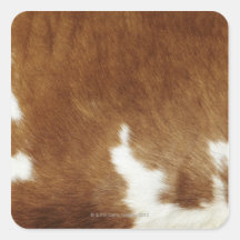 Cow hide sticker