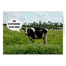 Cow Humour Card