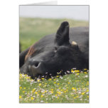 Cow in flowers greeting card