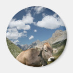 Cow in Pasture Refrigerator Magnet