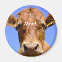 Cow Magnet