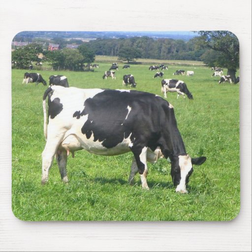 Cow Mouse Mat