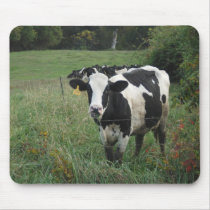 Cow Mouse Mat