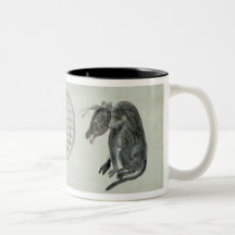 Cow, Oval Window and Haiku Coffee Mugs