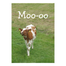 Cow Party Invitations