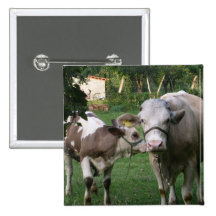 Cow Pinback Button