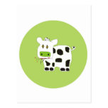 COW POST CARD