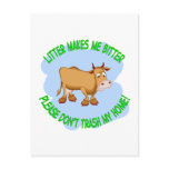 cow post cards