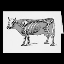 Cow skeleton [card] cards