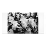 Cow Skulls photo card