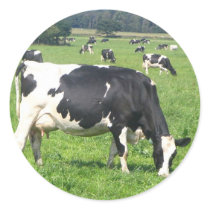 Cow Round Sticker