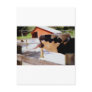 Cow sticking it's tongue out for popcorn postcards