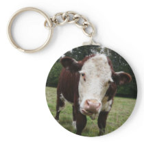 Cow Sticking Out Tongue