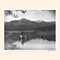 Cowboy and horse in a pond posters