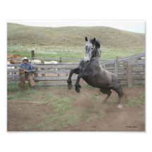 Cowboy and Mustang Art Photo