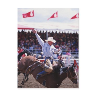 Cowboy at a Rodeo Postcards by prophoto