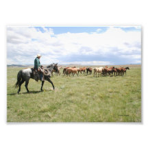 Cowboy Herding Horses Out West Photo Print