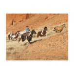 Cowboy herding horses postcards