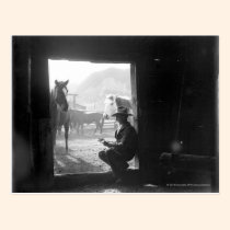 Cowboy in a doorway with horses postcards