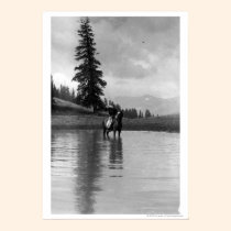 Cowboy in a pond posters