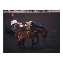 Cowboy in a Rodeo 2 Post Cards