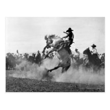 Cowboy on a bucking bronco postcards