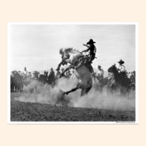 Cowboy on a bucking bronco posters