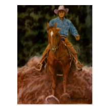 Cowboy raising dust post cards