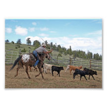Cowboy Roping l'Appaloosa 5x7 Photo