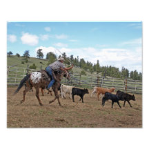 Cowboy Roping Off Appaloosa 11x14 Photo Print
